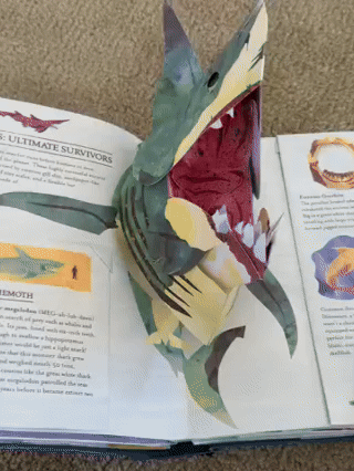 🦈 3D Prehistoric Encyclopedia: Marine Creatures — Ignite Your Child's Journey of Wisdom! 📚