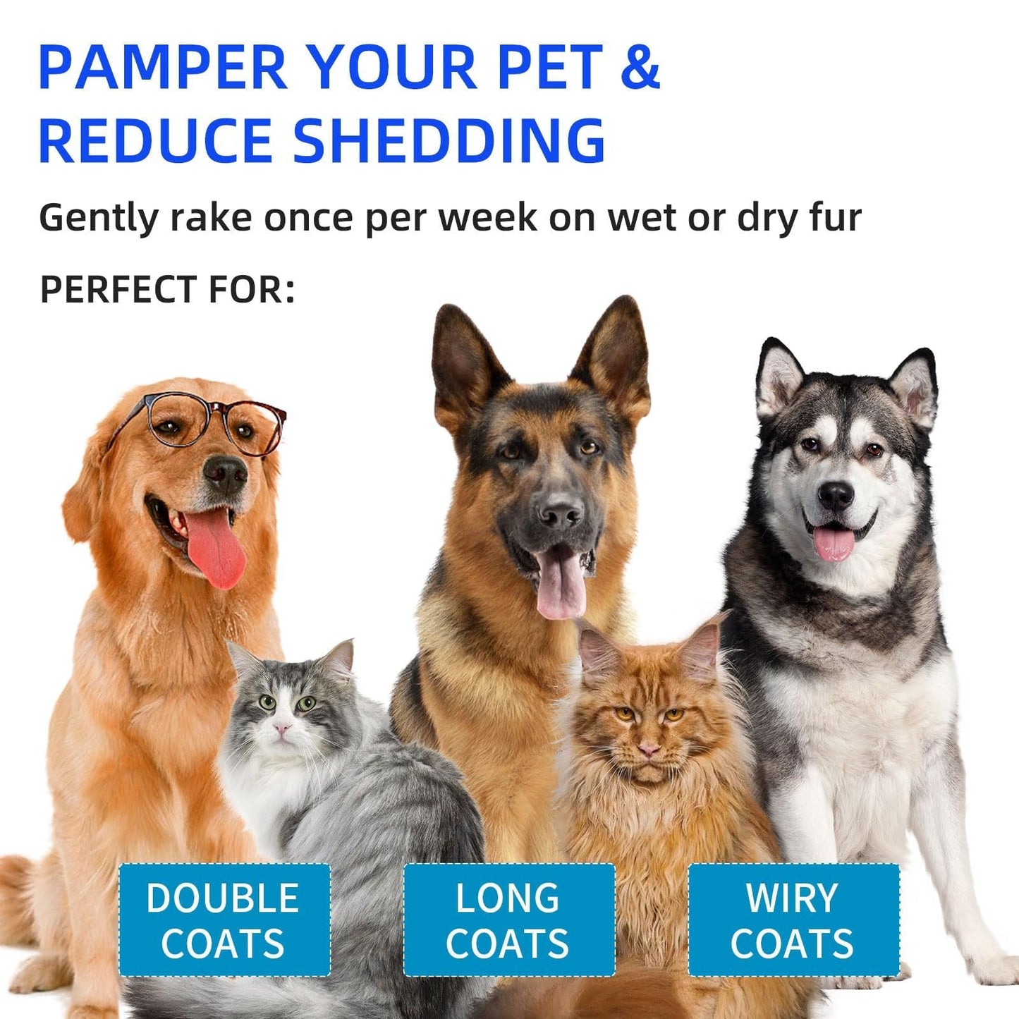 🐶Pet Spray Hair Removal Comb🐶