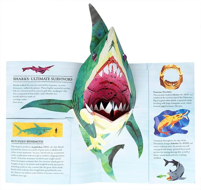 🦈 3D Prehistoric Encyclopedia: Marine Creatures — Ignite Your Child's Journey of Wisdom! 📚